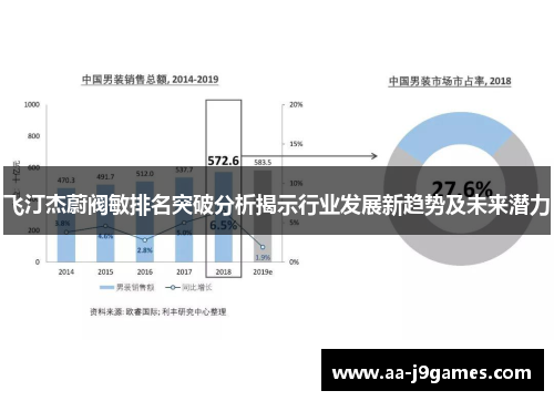 飞汀杰蔚阀敏排名突破分析揭示行业发展新趋势及未来潜力