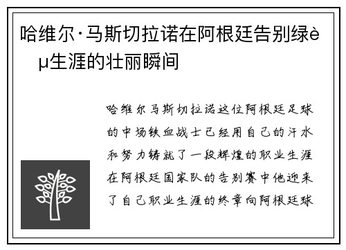 哈维尔·马斯切拉诺在阿根廷告别绿茵生涯的壮丽瞬间 哈维尔·马斯切拉诺在阿根廷告别绿茵生涯的壮丽瞬间